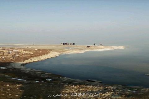 ۴۸۰ هكتار نهال كاری در اطراف دریاچه ارومیه