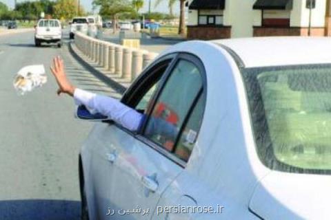 نحوه برخورد با افرادی كه از خودرو زباله پرت می كنند