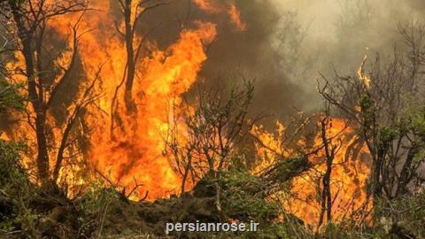 مراتع بهبهان در آتش، بالگرد بامداد به منطقه اعزام می شود