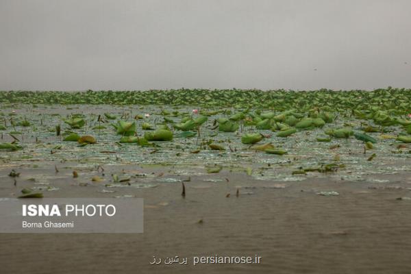 تدوین برنامه ارتباطات، آموزش، مشاركت و آگاهی افزایی (سیپا) در دستور كار محیط زیست