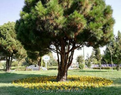 ابتكار هنرمندان اصفهانی برای اخطار نسبت به گرمایش جهانی
