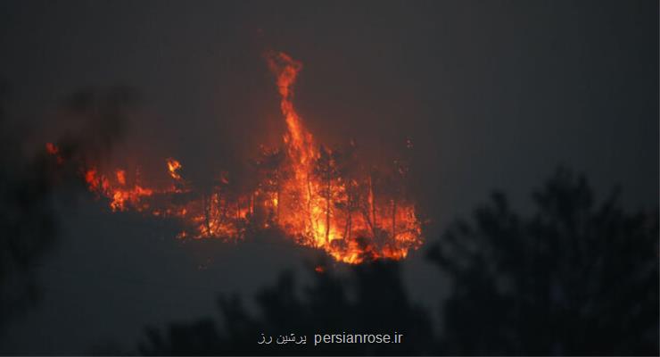 آتش سوزی در مجمع الجزایر قناری
