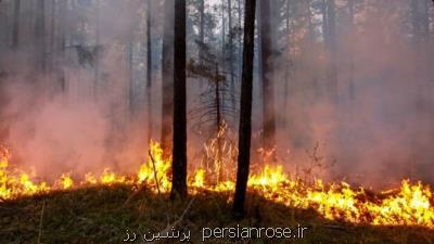 موافقت 7 كشور آمریكای جنوبی با طرح حفاظت از آمازون