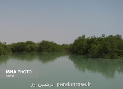 همكاری طرح حفاظت از تالاب های ایران برای ثبت جهانی شهر بندر خمیر