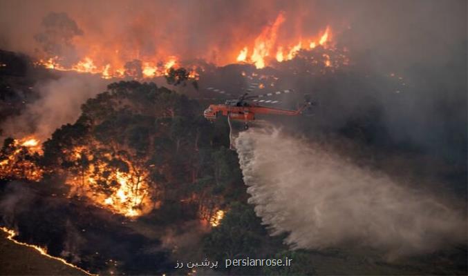 آتش سوزی های جنگلی استرالیا تصویری از آینده زمین
