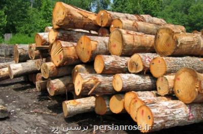 تعداد زیادی به كار قاچاق چوب از جنگل های غرب كشور روی آورده اند