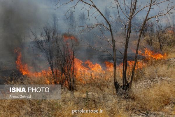 عمدی بودن 4 مورد از آتش سوزی در بوستان های تهران