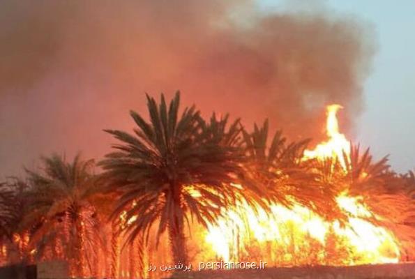 مهار آتش در باغات سعدآباد