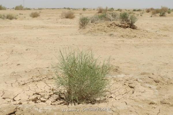 ۱۴ میلیون هكتار وسعت اراضی بحرانی بیابانی در كشور