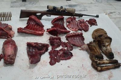 آخر هفته پرحادثه در محیط زیست شاهرود