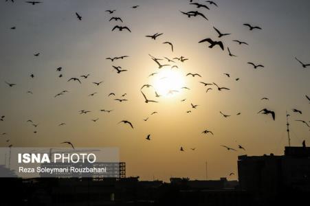 ایران در مرداد ماه ۱ و نیم درجه گرمتر از همیشه بود