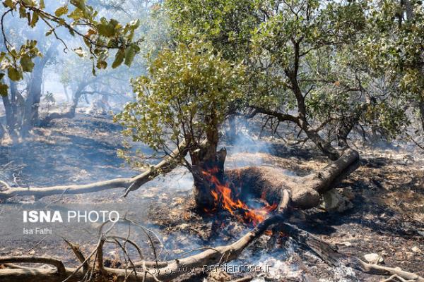مهار ۲ آتش سوزی در جنگل های پارك ملی دنا