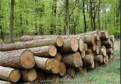 اختصاص۳۰هزار هكتار زمین به زراعت چوب