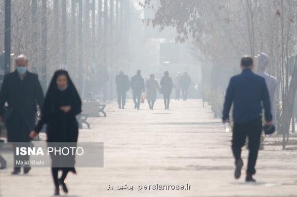 مرگ سالانه ۳۰ هزار نفر در كشور بر اثر آلودگی هوا