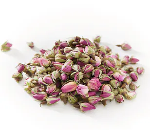 پرشین رز