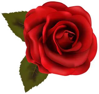 پرشین رز